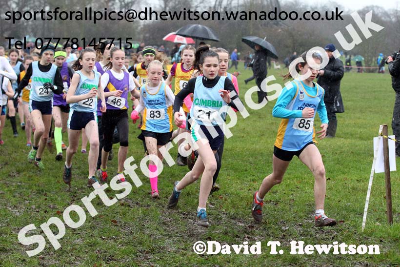 Minor girls Northern Inter Counties Schools Cross Country, Stockton. Photo: David T. Hewitson/Sports for All Pics